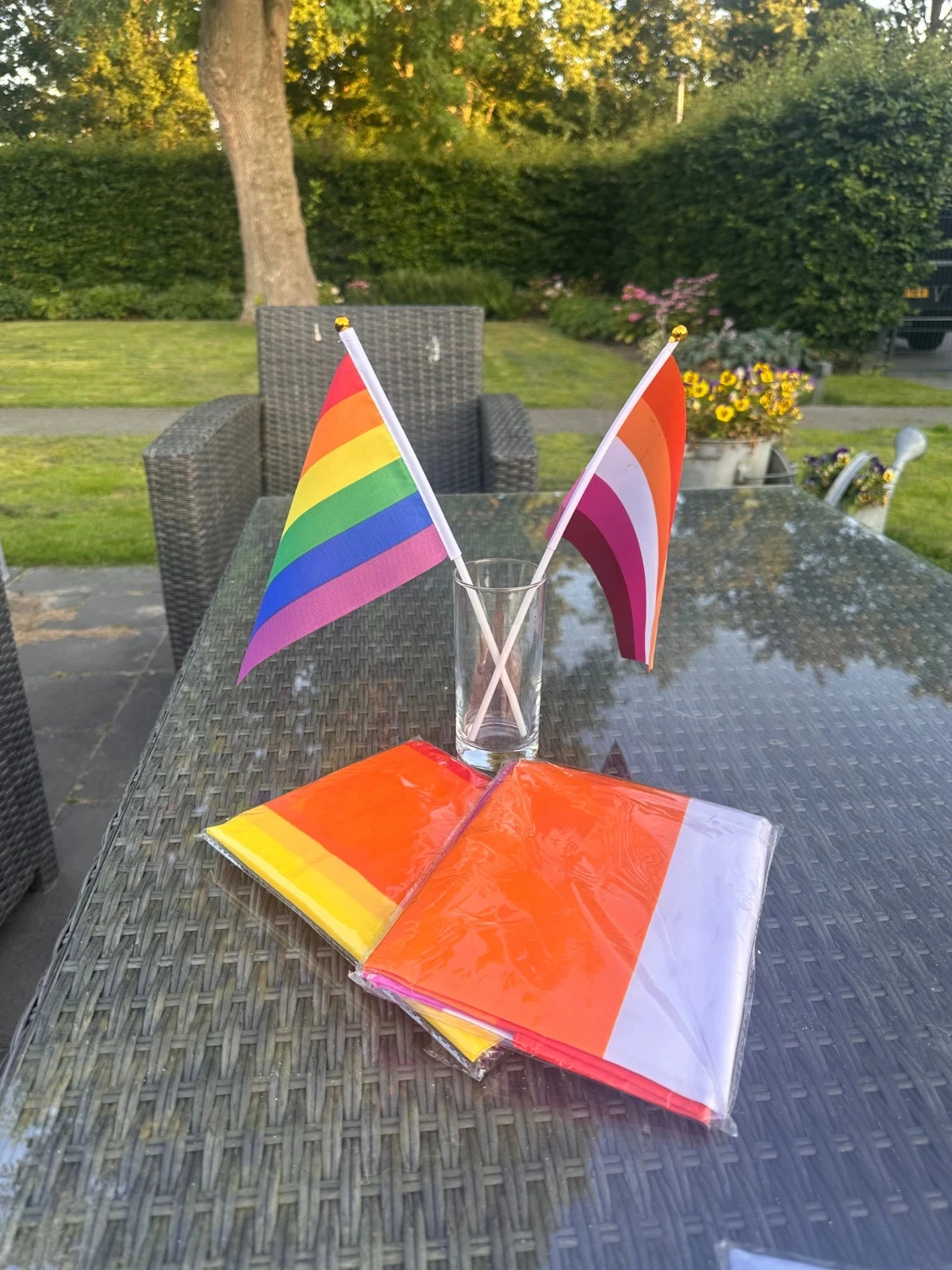 Pride Set Lesbian
